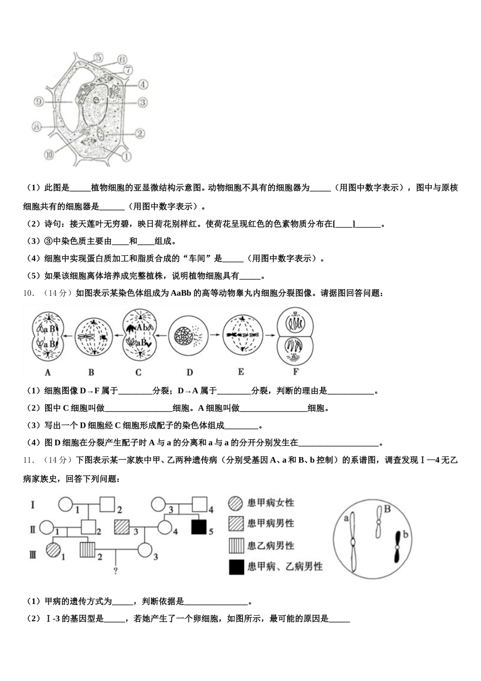 2025年黑龙江省双鸭山市第一中学高一生物第二学期期末联考试题含解析_第3页