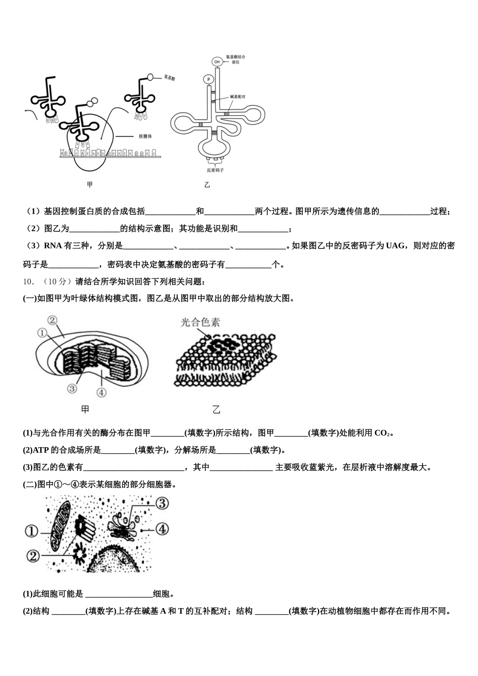 2025届黑龙江省大庆市生物高一下期末监测试题含解析_第3页