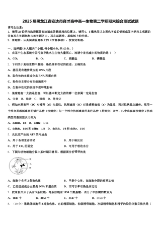 2025届黑龙江省安达市育才高中高一生物第二学期期末综合测试试题含解析