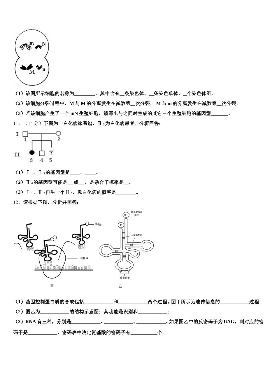 黑龙江省哈尔滨三十二中2024-2025学年高一下生物期末统考试题含解析_第3页