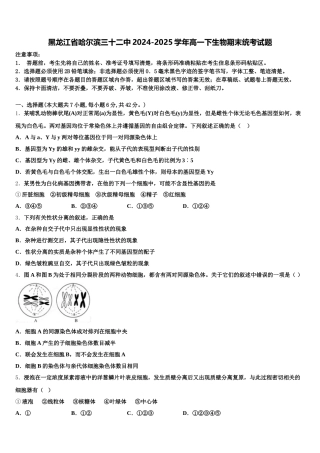 黑龙江省哈尔滨三十二中2024-2025学年高一下生物期末统考试题含解析
