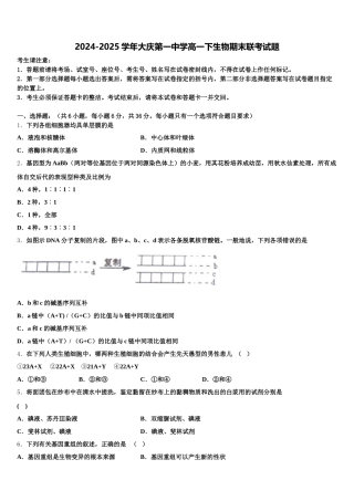 2024-2025学年大庆第一中学高一下生物期末联考试题含解析