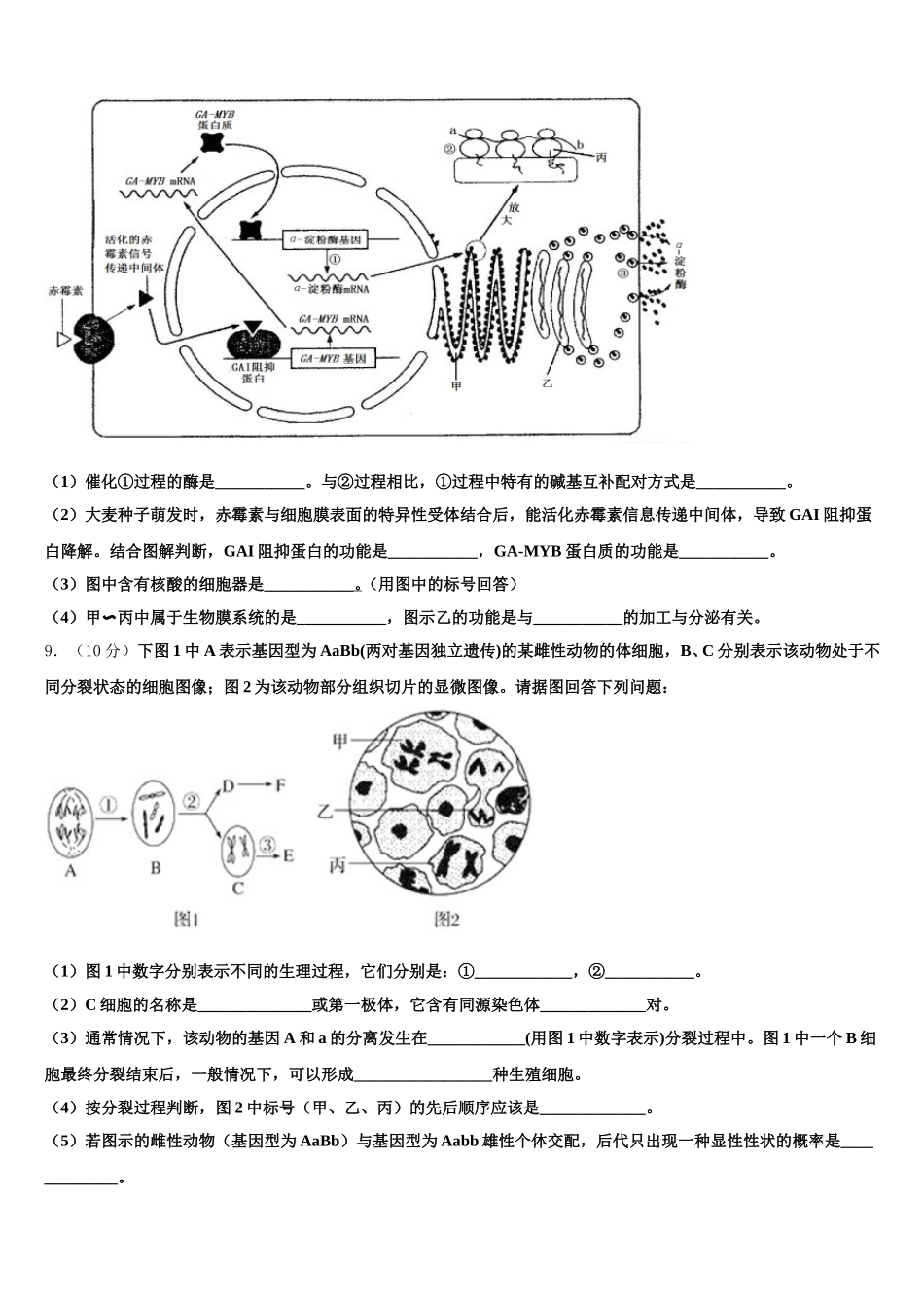 黑龙江省肇东第一中学2025届生物高一第二学期期末联考模拟试题含解析_第3页