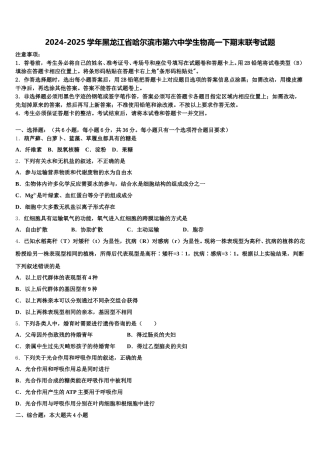 2024-2025学年黑龙江省哈尔滨市第六中学生物高一下期末联考试题含解析
