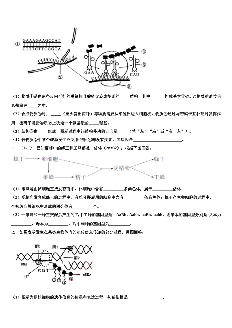 2024-2025学年黑龙江省牡丹江市第一高级中学生物高一下期末达标检测试题含解析_第3页