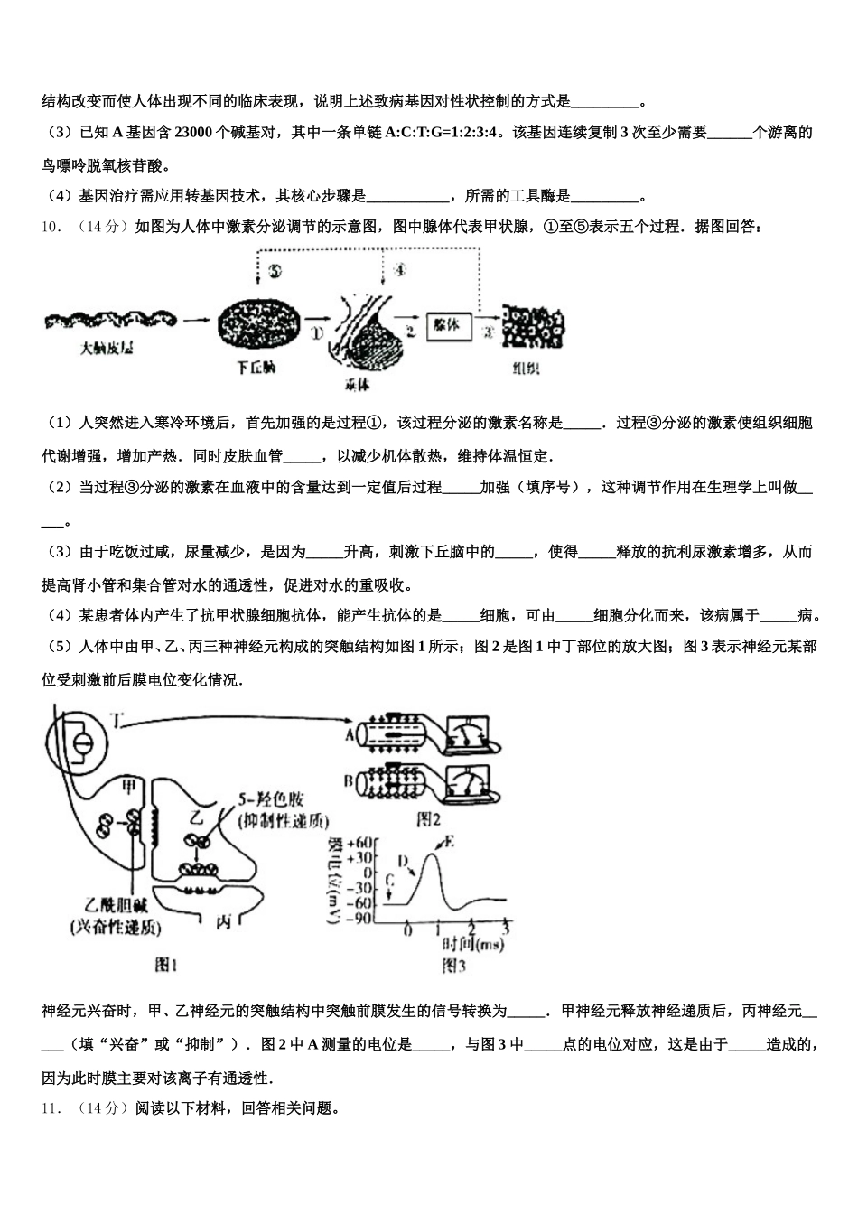 2025届黑龙江省绥化市安达七中高一下生物期末经典模拟试题含解析_第3页