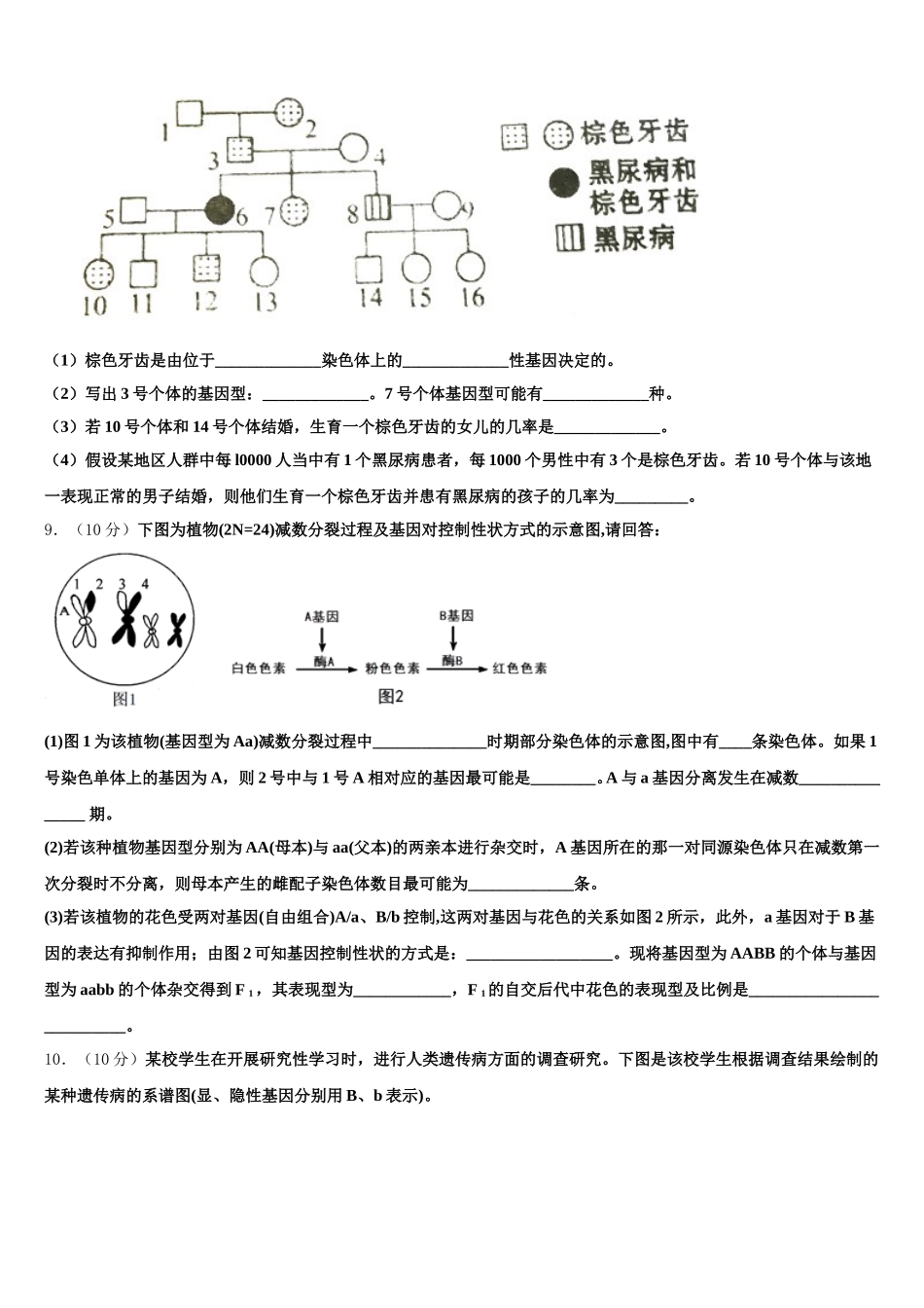 黑龙江省大庆市让胡路区大庆铁人中学2025届高一下生物期末达标测试试题含解析_第3页