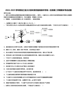2024-2025学年黑龙江省大兴安岭漠河县高级中学高一生物第二学期期末考试试题含解析