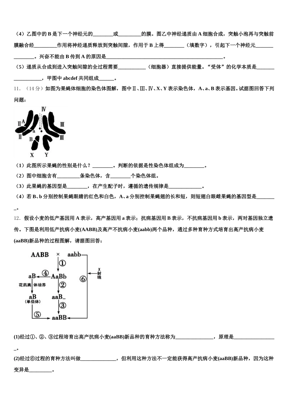黑龙江省大庆十中2024-2025学年高一下生物期末联考试题含解析_第3页