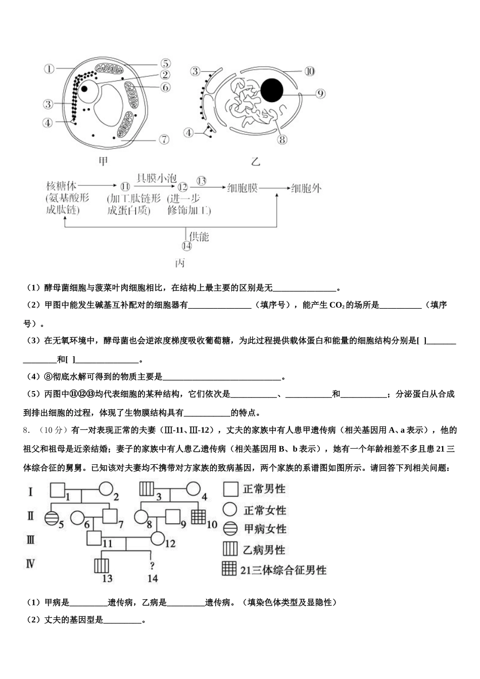 黑龙江省大庆第一中学2025年高一下生物期末质量跟踪监视模拟试题含解析_第3页