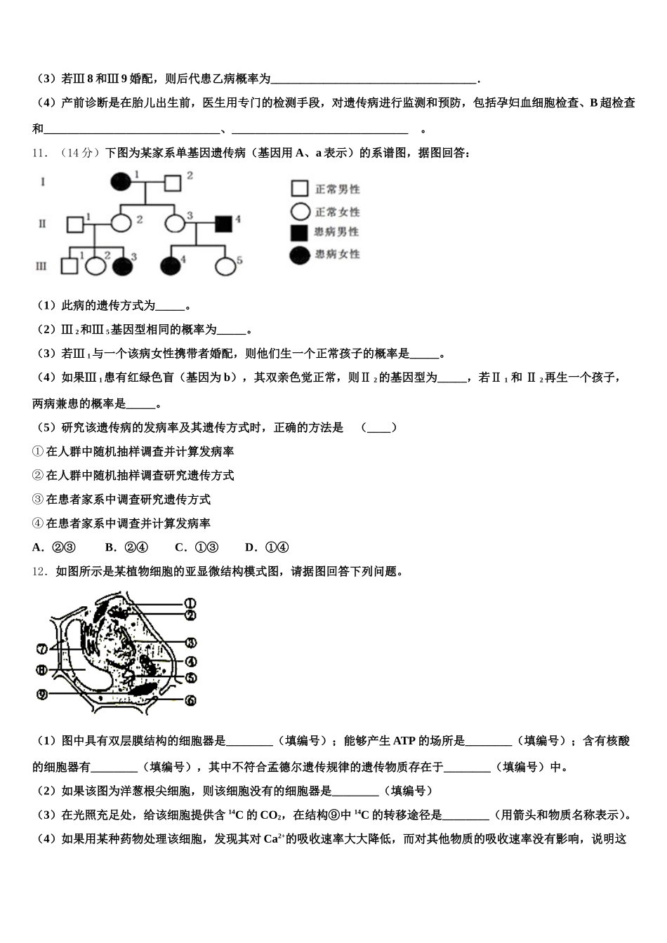 2025届黑龙江省鹤岗市第一中学生物高一下期末联考试题含解析_第3页