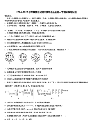 2024-2025学年陕西省咸阳市武功县生物高一下期末联考试题含解析