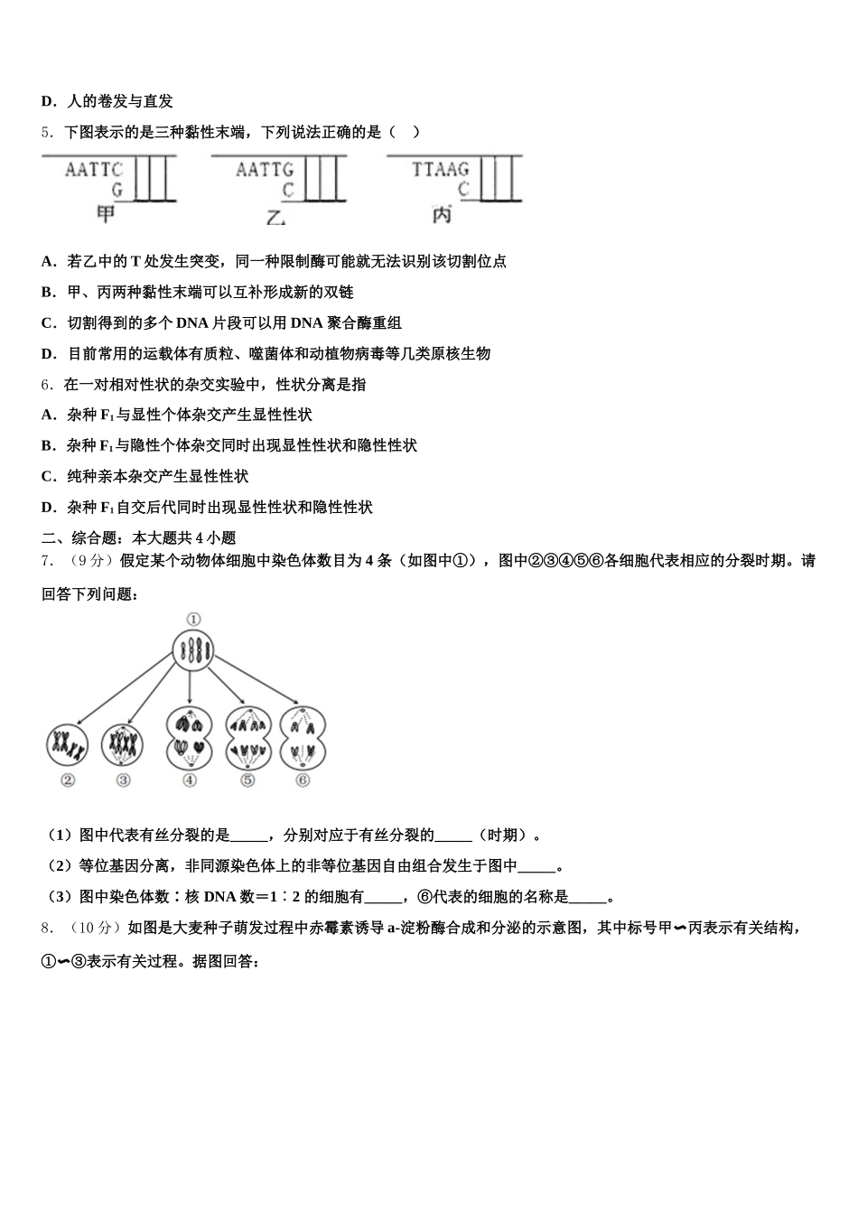 2025年汉中市重点中学生物高一下期末调研模拟试题含解析_第2页