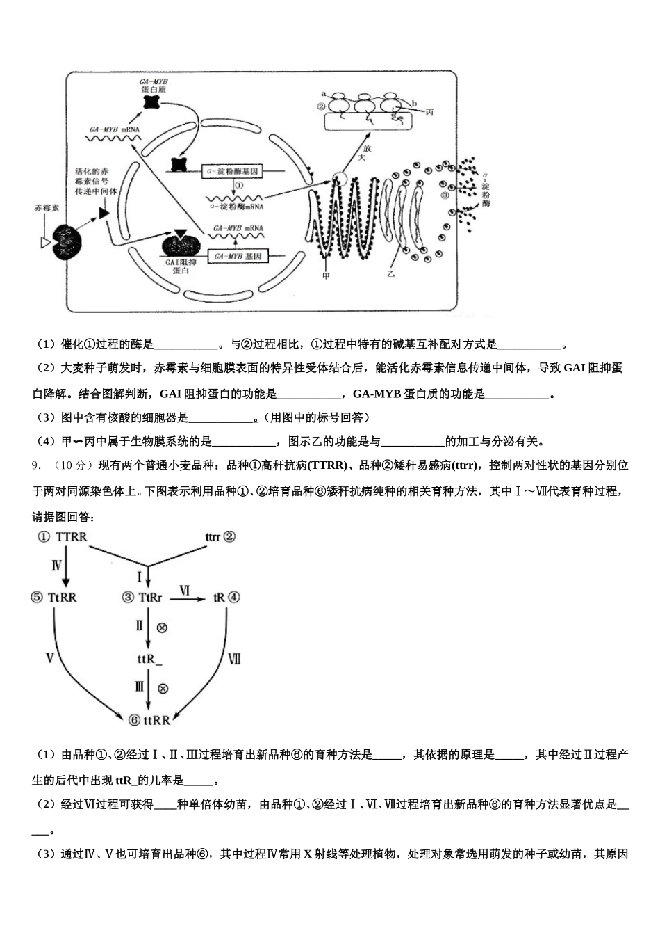 2025年汉中市重点中学生物高一下期末调研模拟试题含解析_第3页