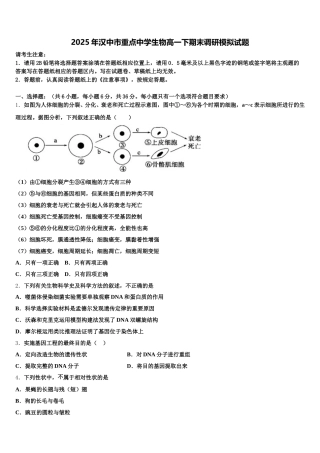 2025年汉中市重点中学生物高一下期末调研模拟试题含解析