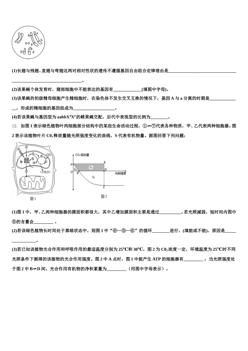 2025年陕西省靖边县第四中学生物高一下期末学业质量监测模拟试题含解析_第3页