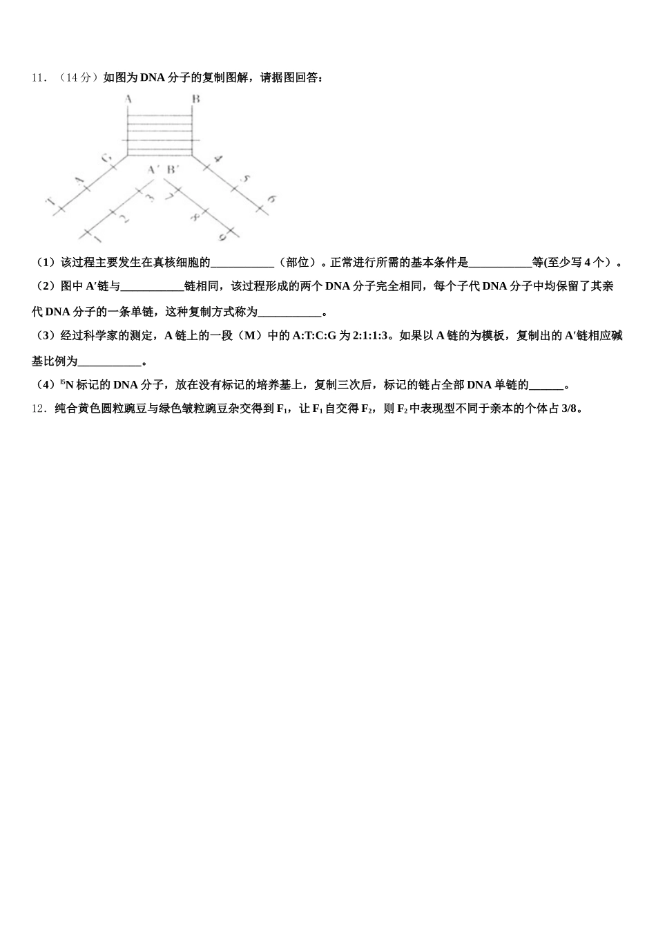 西安市第一中学2025届高一下生物期末教学质量检测试题含解析_第3页