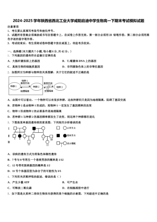 2024-2025学年陕西省西北工业大学咸阳启迪中学生物高一下期末考试模拟试题含解析