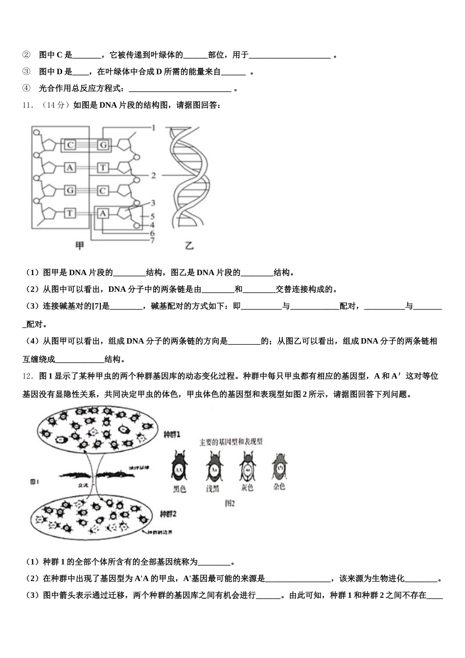 西安市重点中学2025年高一下生物期末达标检测模拟试题含解析_第3页