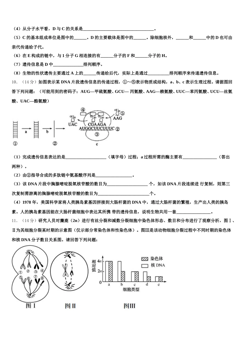 2024-2025学年陕西省西安市高新一中、交大附中、师大附中生物高一第二学期期末质量跟踪监视模拟试题含解析_第3页