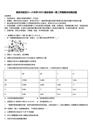 西安市航空六一八中学2025届生物高一第二学期期末经典试题含解析