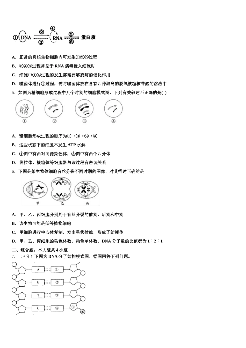 陕西省咸阳市三原南郊中学2024-2025学年生物高一下期末检测模拟试题含解析_第2页