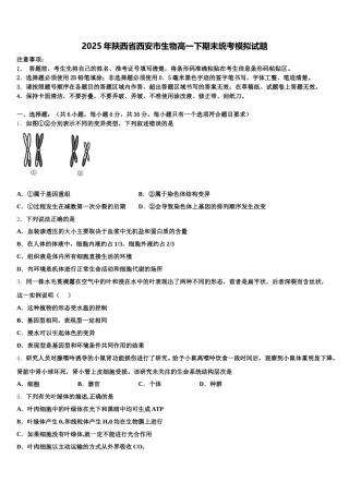 2025年陕西省西安市生物高一下期末统考模拟试题含解析