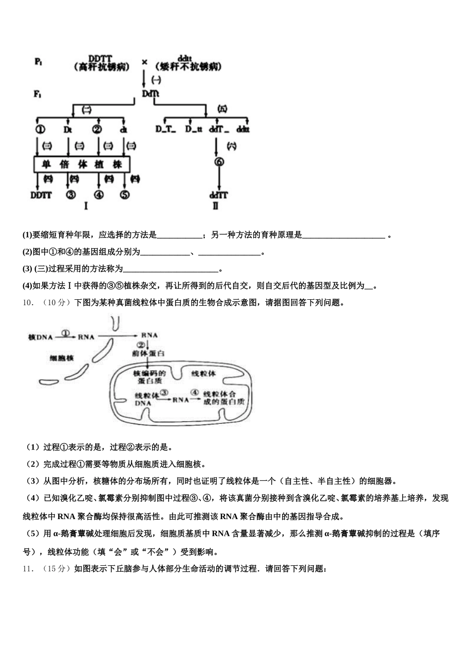 2025年陕西省西乡二中生物高一第二学期期末教学质量检测模拟试题含解析_第3页