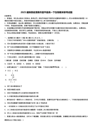 2025届陕西省渭南市富平县高一下生物期末联考试题含解析