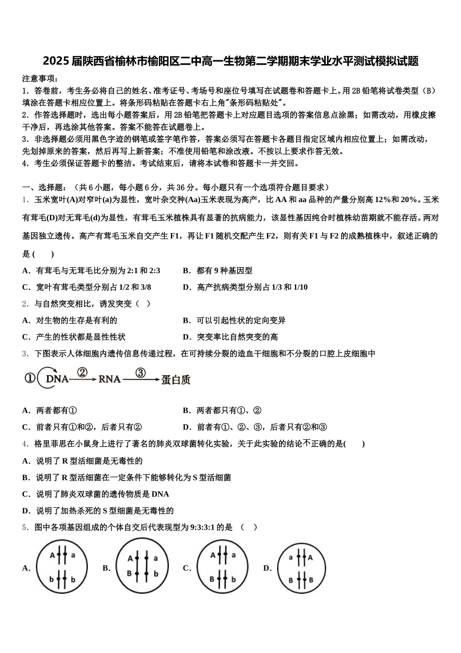 2025届陕西省榆林市榆阳区二中高一生物第二学期期末学业水平测试模拟试题含解析_第1页