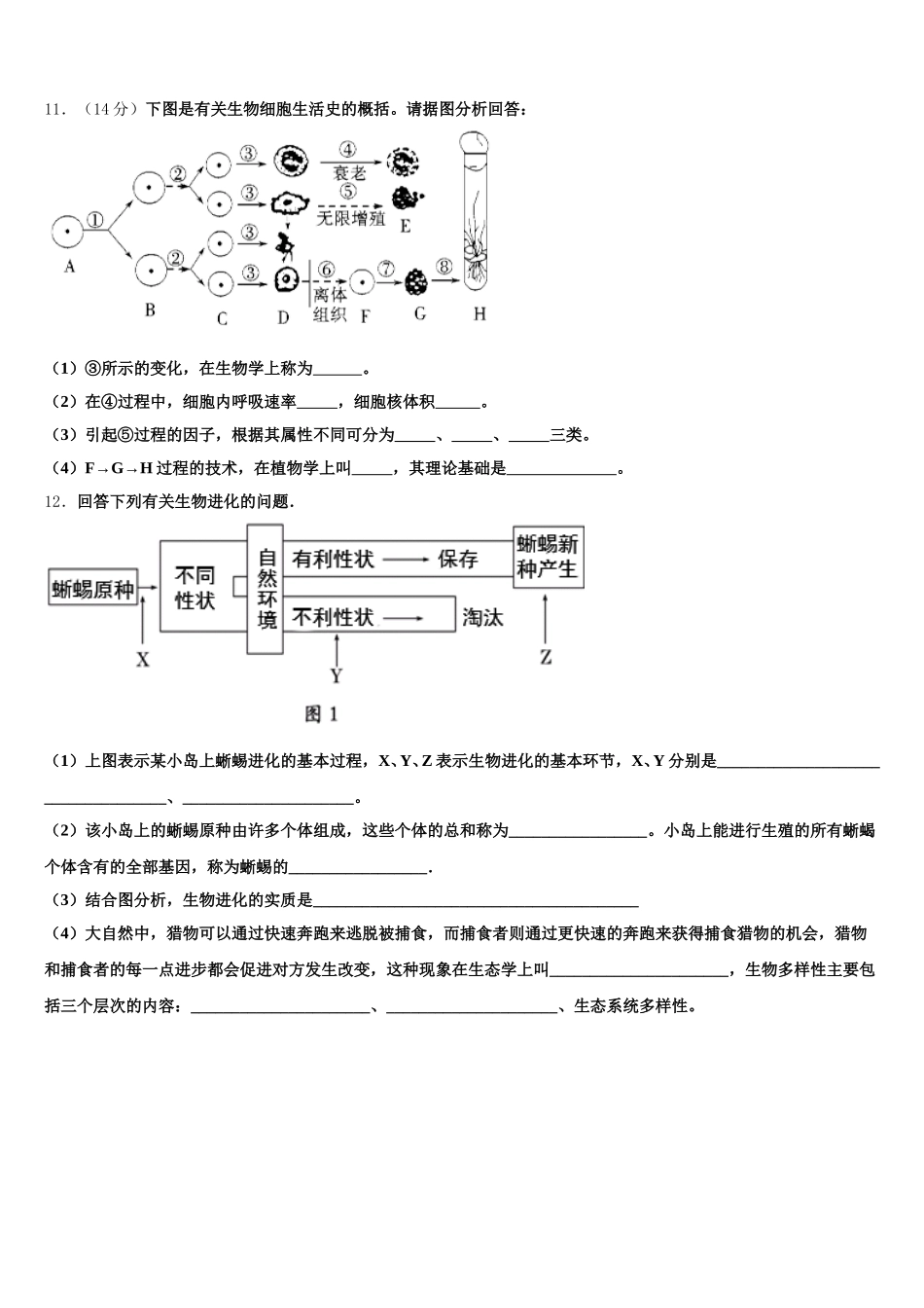 2025届陕西省西安市东仪中学高一生物第二学期期末联考试题含解析_第3页