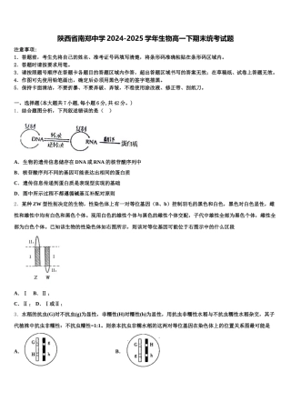 陕西省南郑中学2024-2025学年生物高一下期末统考试题含解析