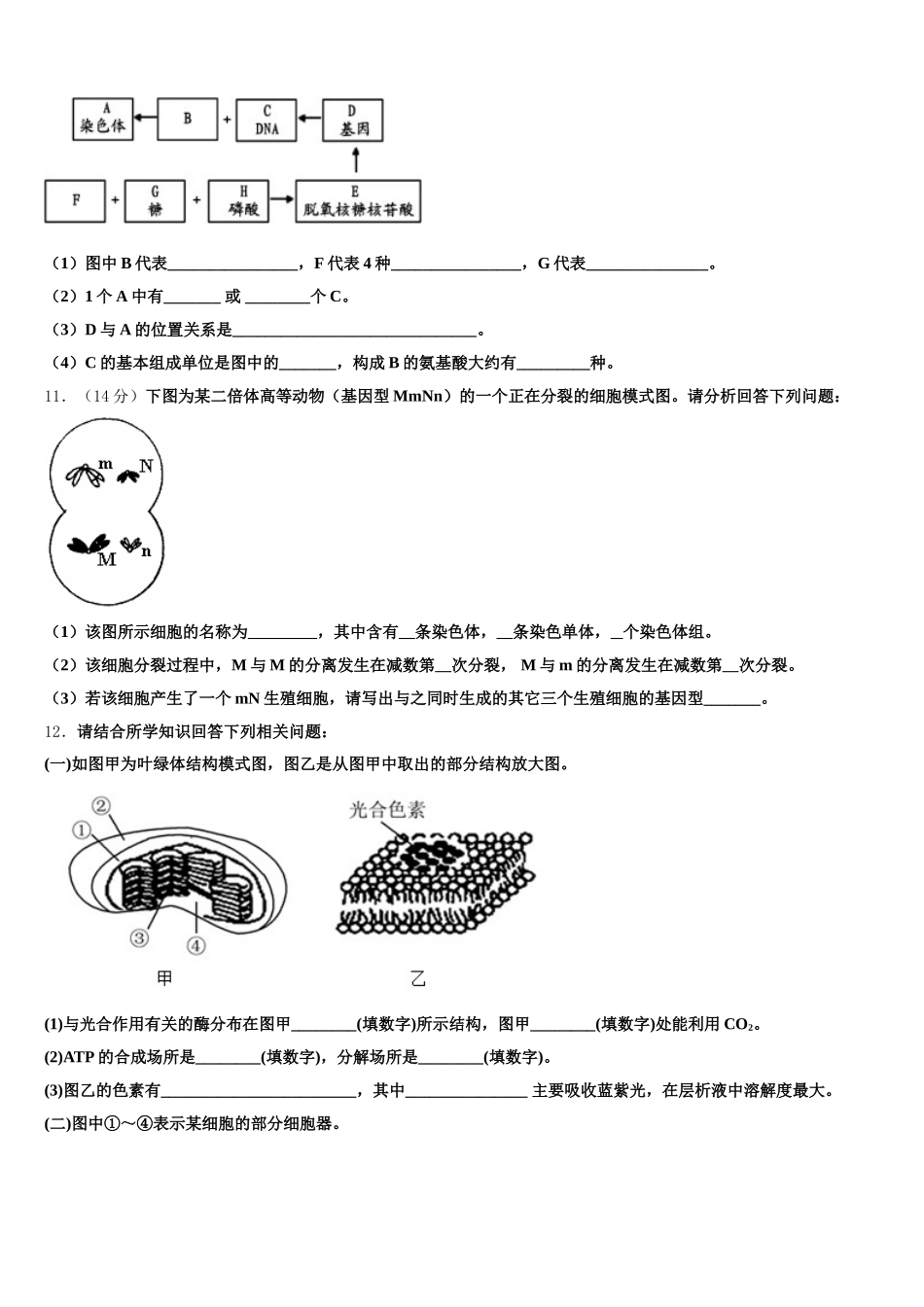 2025届西安市第二十六中学高一下生物期末复习检测试题含解析_第3页