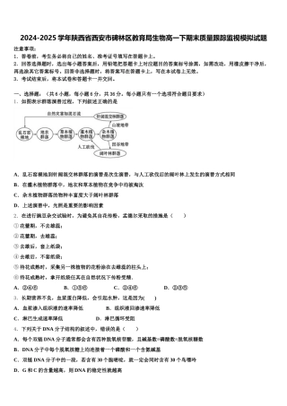 2024-2025学年陕西省西安市碑林区教育局生物高一下期末质量跟踪监视模拟试题含解析