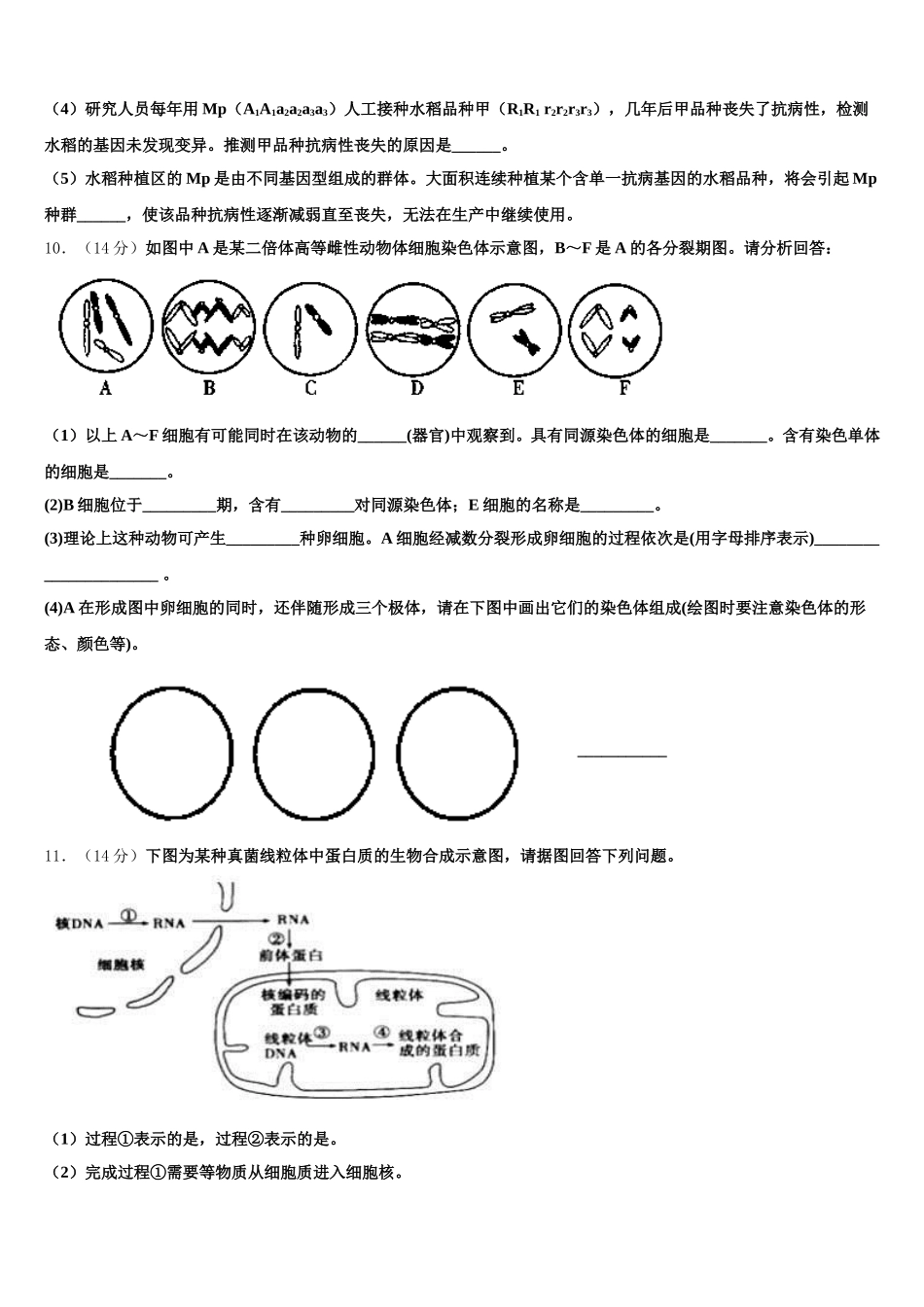 陕西省洛南中学2025届生物高一下期末经典试题含解析_第3页