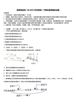 陕西省延安一中2025年生物高一下期末监测模拟试题含解析