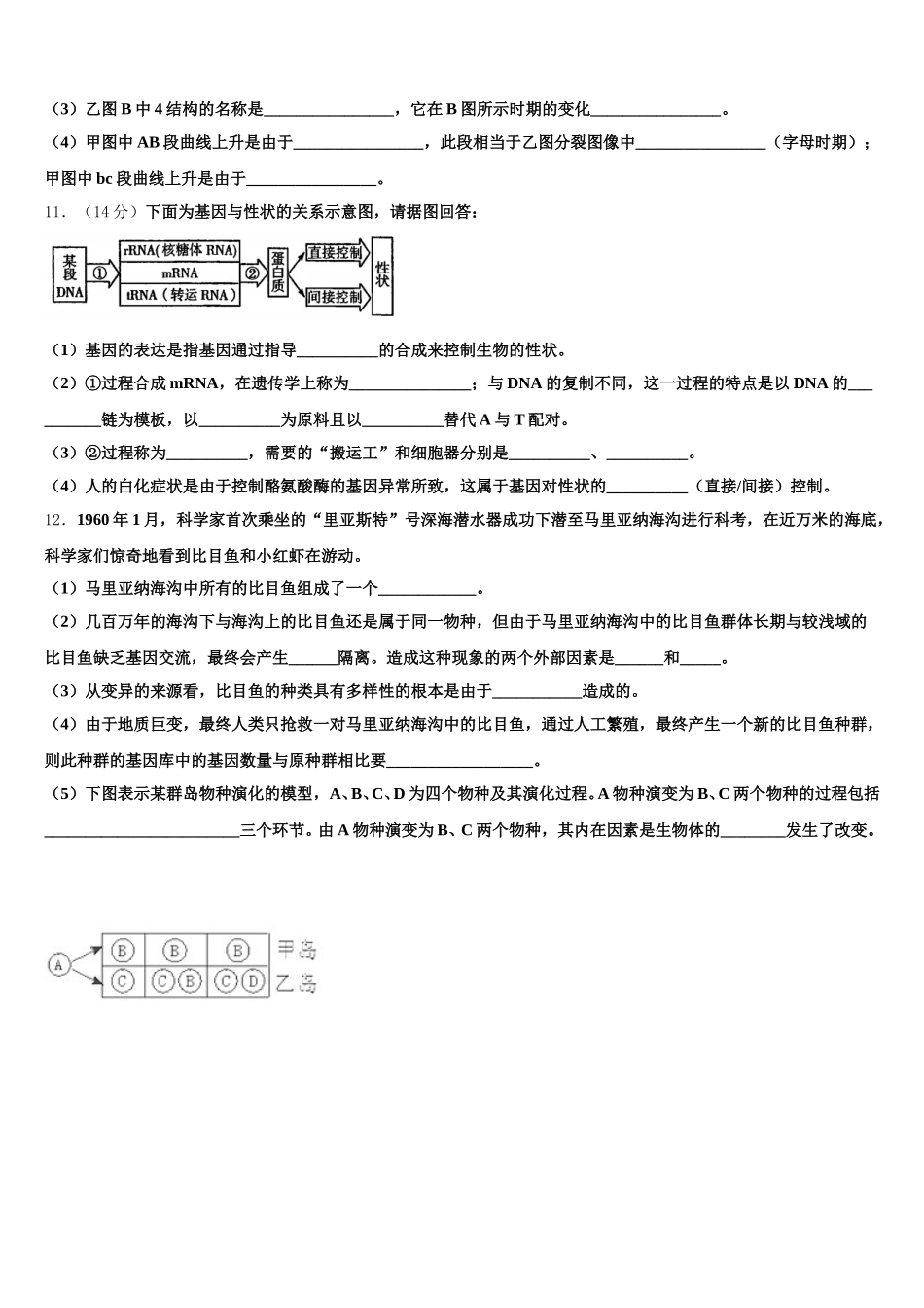 2025届陕西省延安市宝塔四中生物高一下期末经典模拟试题含解析_第3页