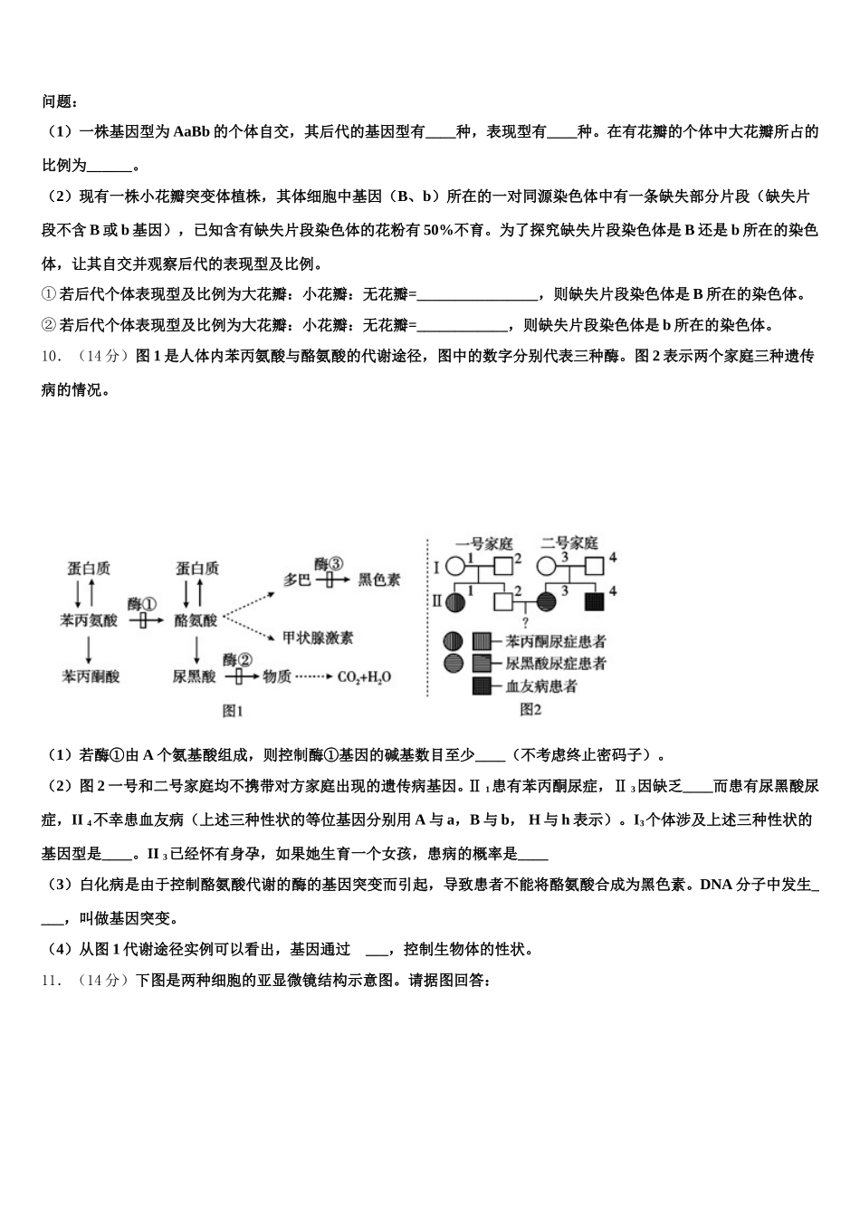 陕西省黄陵中学新部2025年生物高一第二学期期末质量检测模拟试题含解析_第3页