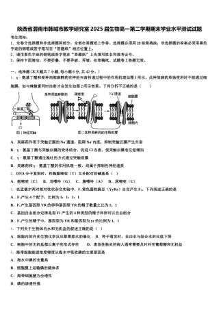 陕西省渭南市韩城市教学研究室2025届生物高一第二学期期末学业水平测试试题含解析