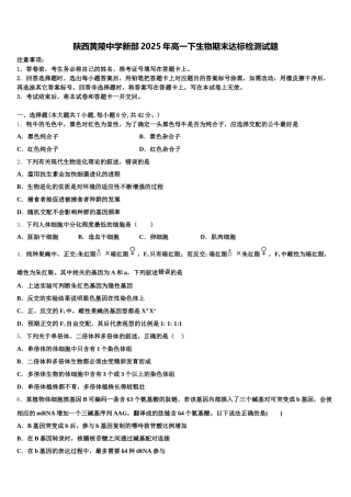 陕西黄陵中学新部2025年高一下生物期末达标检测试题含解析