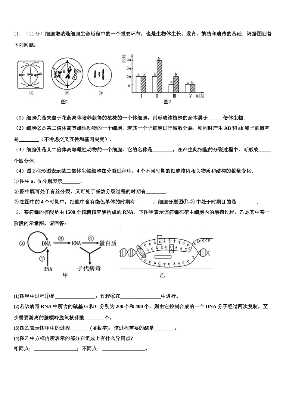 陕西省延安市黄陵县黄陵中学本部2025届高一下生物期末预测试题含解析_第3页
