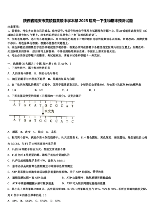 陕西省延安市黄陵县黄陵中学本部2025届高一下生物期末预测试题含解析