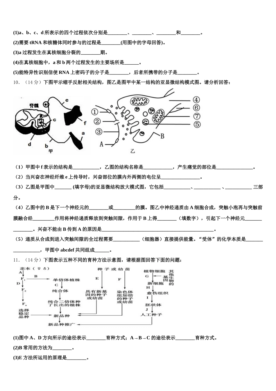 2025年陕西省商洛市洛南中学高一生物第二学期期末经典试题含解析_第3页