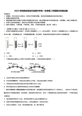 2025年陕西省商洛市洛南中学高一生物第二学期期末经典试题含解析