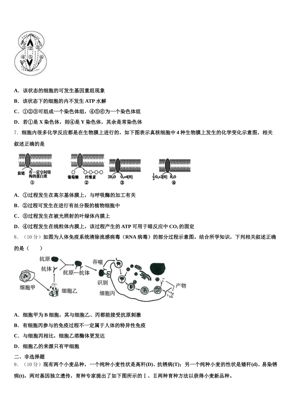 2025年陕西西安地区八校生物高一下期末教学质量检测模拟试题含解析_第2页