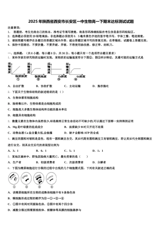 2025年陕西省西安市长安区一中生物高一下期末达标测试试题含解析