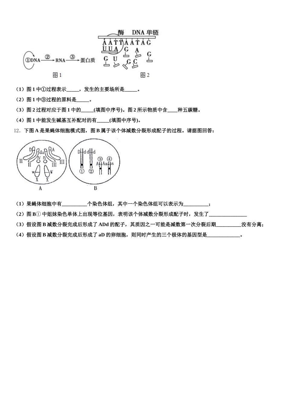陕西省铜川一中2025年生物高一第二学期期末考试模拟试题含解析_第3页