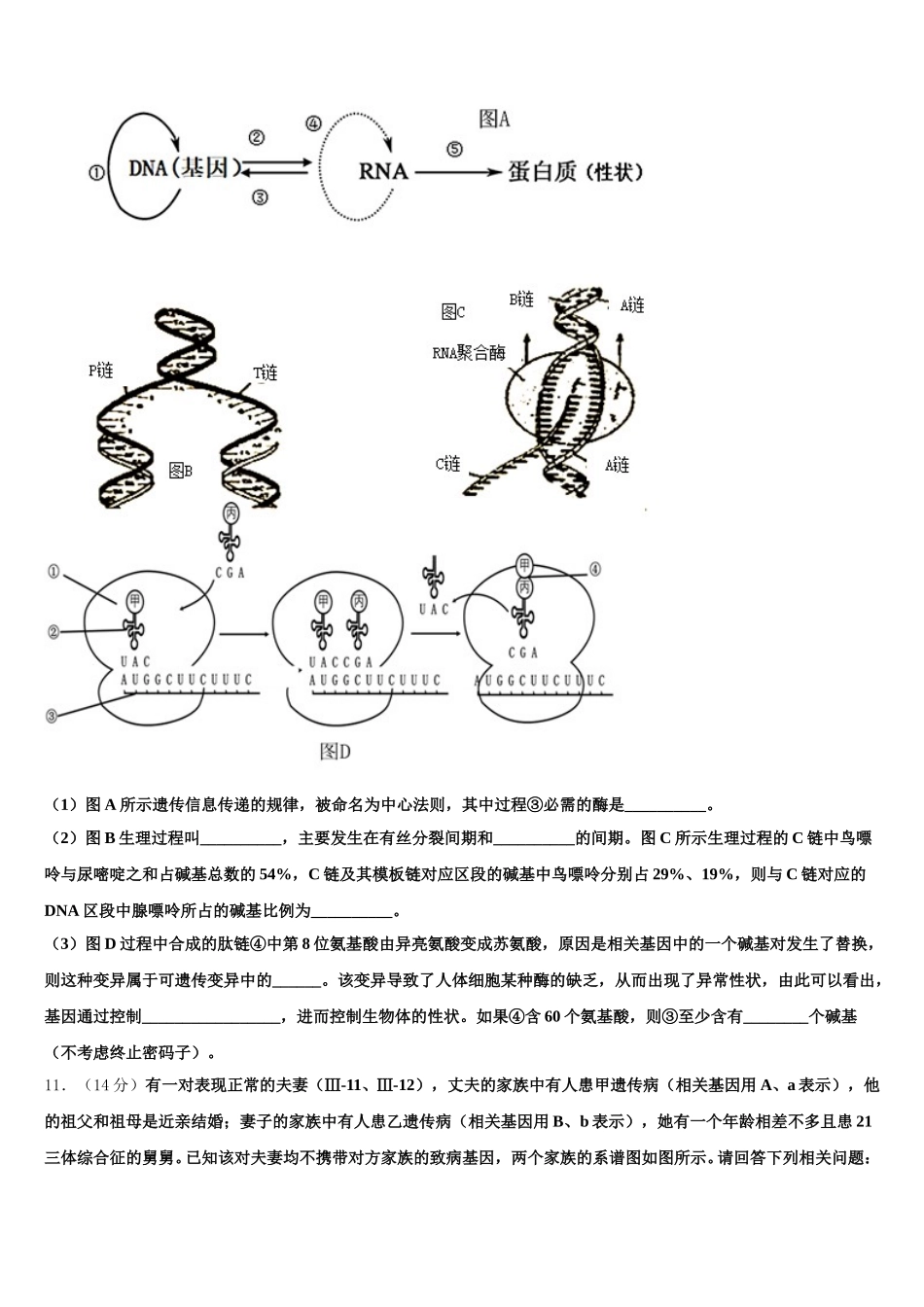 2025年陕西省西安市第七十中学高一下生物期末复习检测试题含解析_第3页