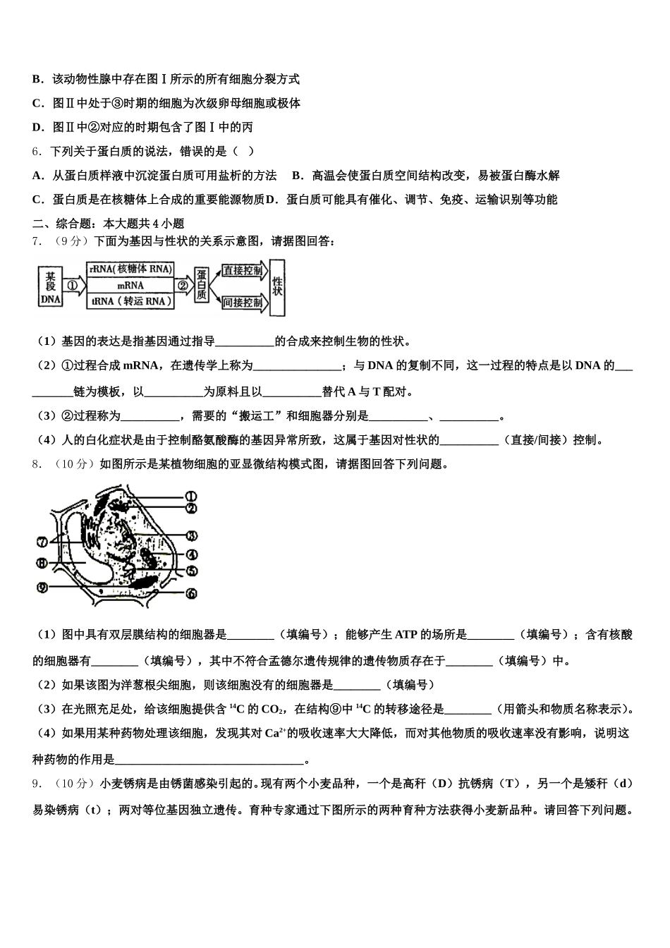 2025年陕西省延安市黄陵中学高一生物第二学期期末综合测试模拟试题含解析_第2页
