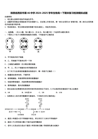 陕西省西安市第46中学2024-2025学年生物高一下期末复习检测模拟试题含解析